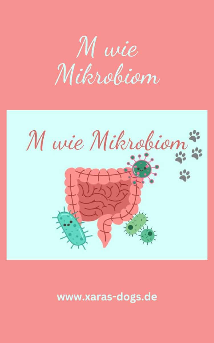 Mikrobiom